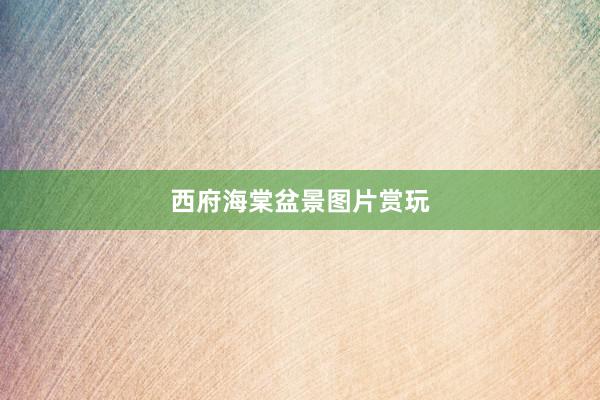 西府海棠盆景图片赏玩