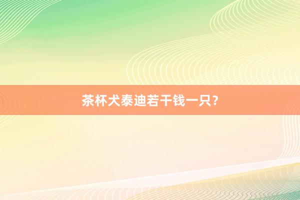 茶杯犬泰迪若干钱一只？